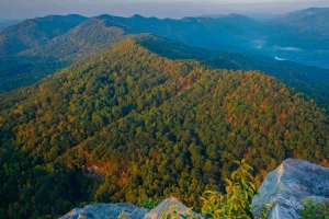 Beautiful view of the Appalachia Forest where The Gifted Tree plants gift trees.