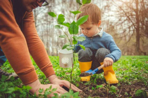 Child Planting a Tree for Arbor Day