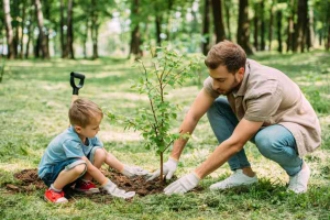 Plant a Tree For a Newborn - Baby Planting Tree