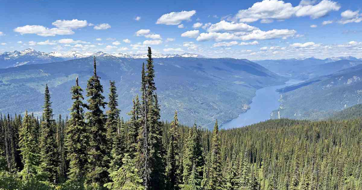 Beautiful view of the British Columbia Forest where The Gifted Tree has planting projects to plant gift trees.