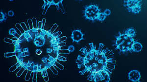 COVID-19 pandemic virus cells