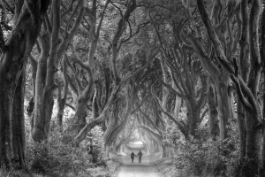 Couple holding hands walking through the dark hedges in Ireland