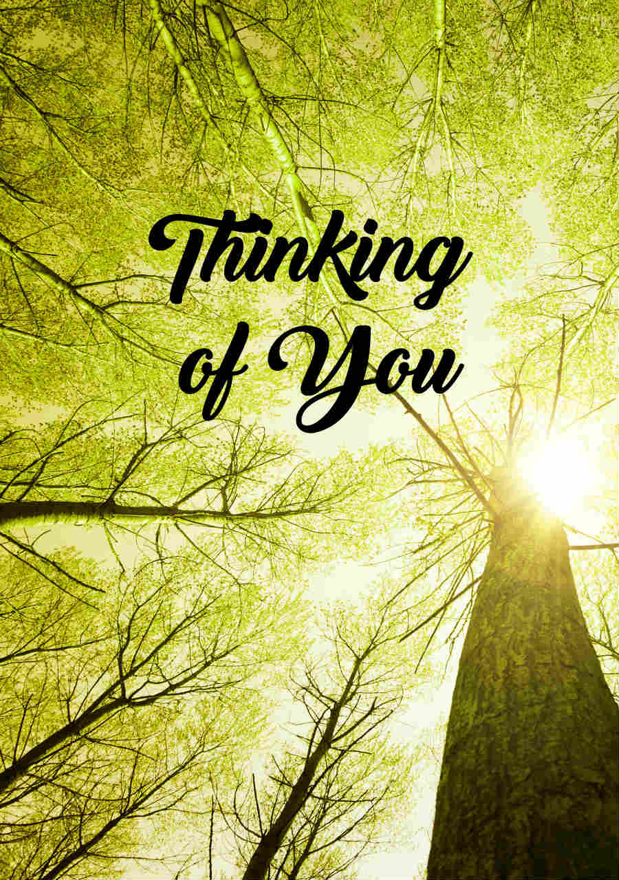 Memorial Digital eCard “Thinking of You” The Gifted Tree