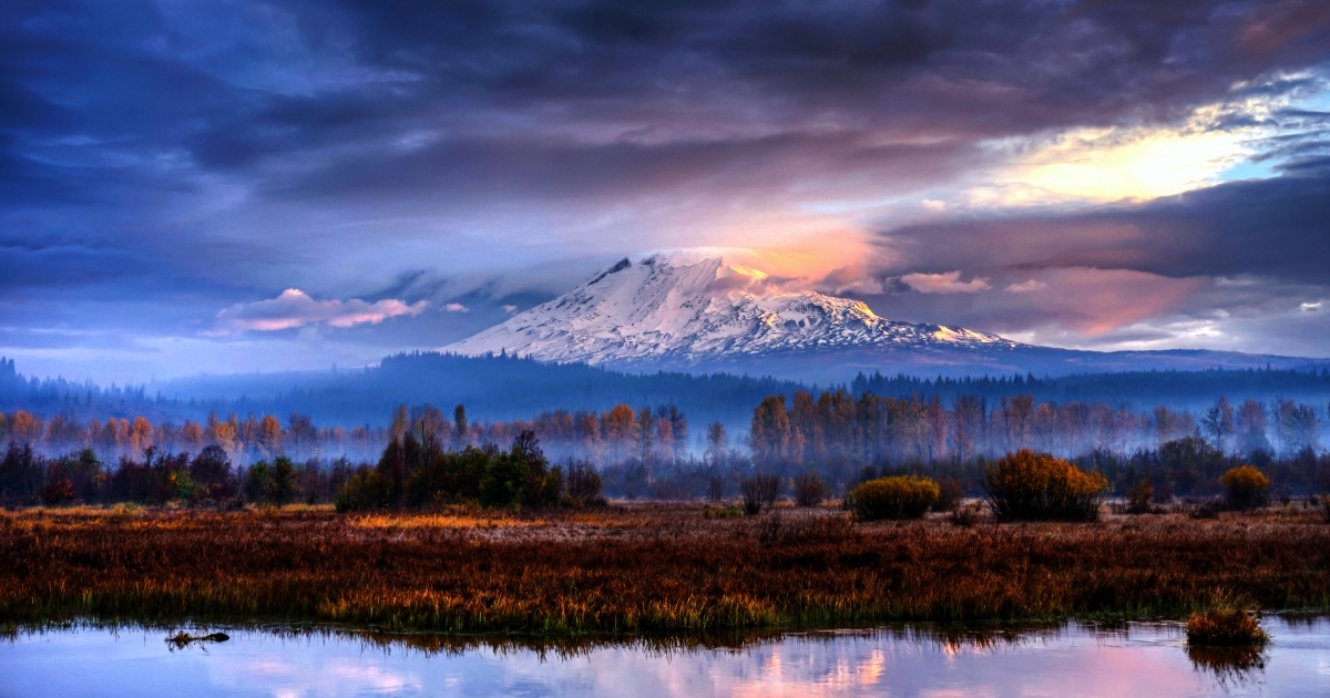 Beautiful view of the Washington Forest where The Gifted Tree has planting projects to plant gift trees.