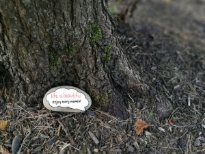 Beautifully painted rock with inspirational message laying next to tree trunk
