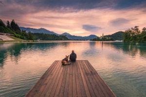 Man and dog on pier on mountain lake
