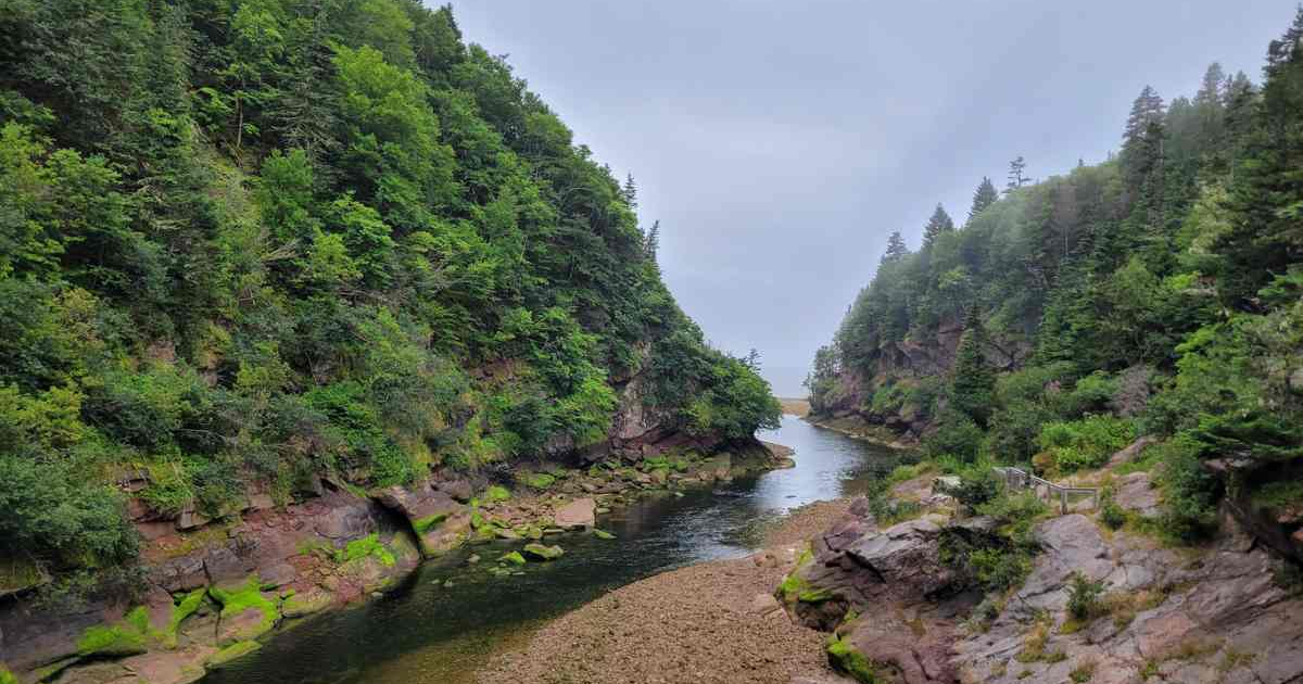 Beautiful view of the New Brunswick Biosphere Reserve where The Gifted Tree has planting projects to plant gift trees.