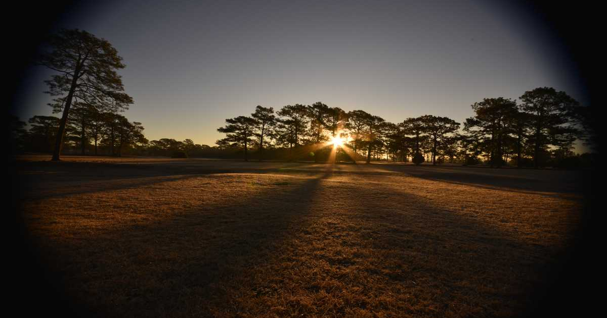Beautiful view of the North Carolina Forest where The Gifted Tree has planting projects to plant gift trees.