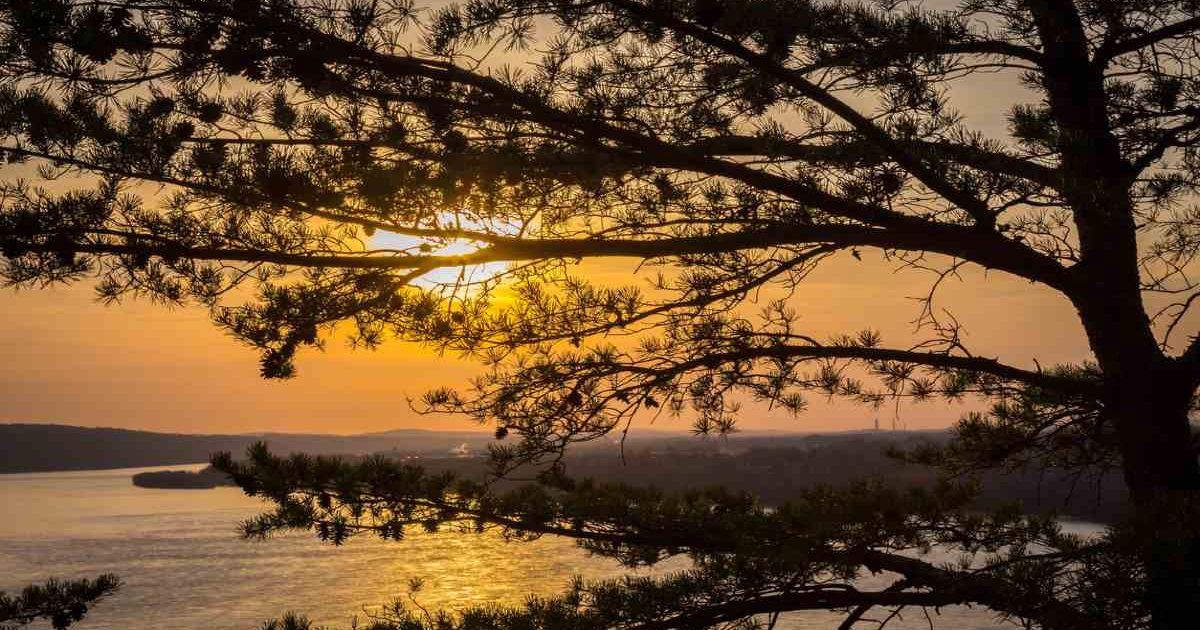 Beautiful view of the Pennsylvania River Valley where The Gifted Tree has planting projects to plant gift trees.