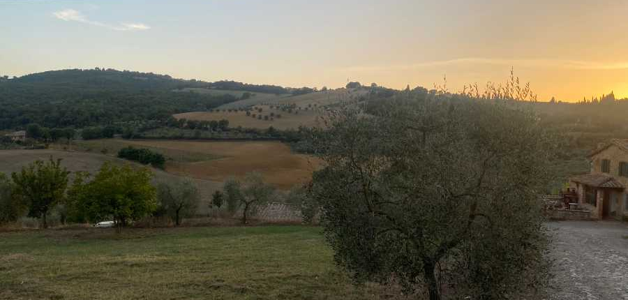 Area in Tuscany near The Gifted Tree's Italy tree planting project