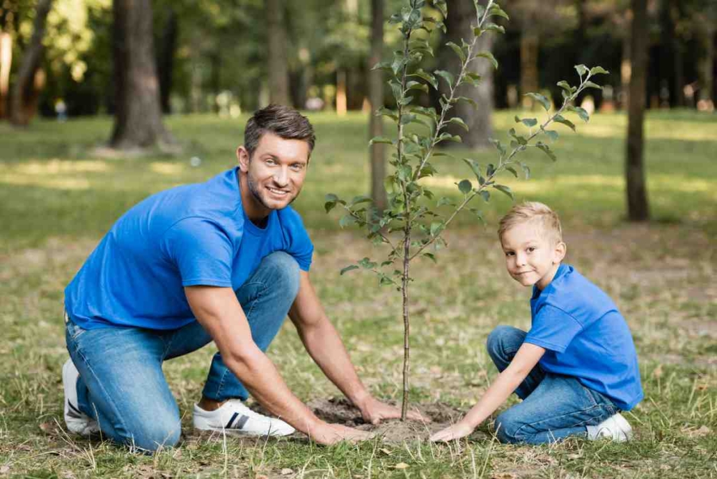 Planting a birthday tree