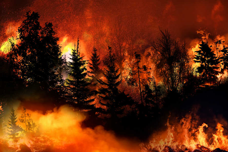 Massive California Wildfire spreading rapidly