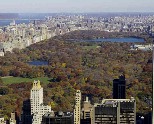 Bird's Eye view of Central Park New York City