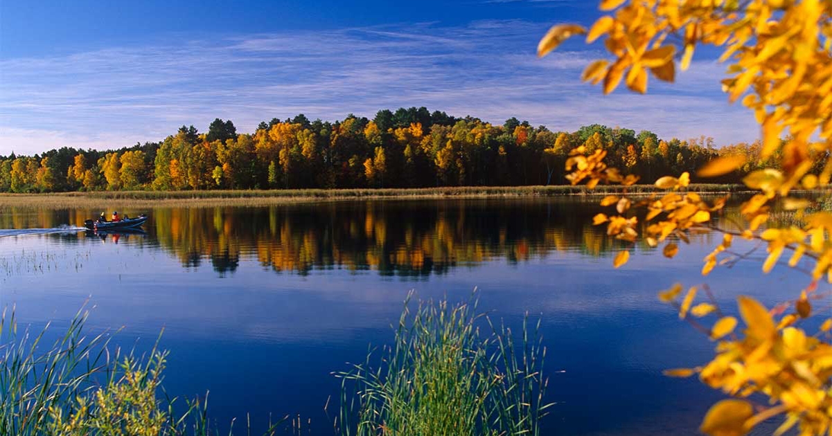 Beautiful view of the Minnesota Forest where The Gifted Tree has planting projects to plant gift trees.