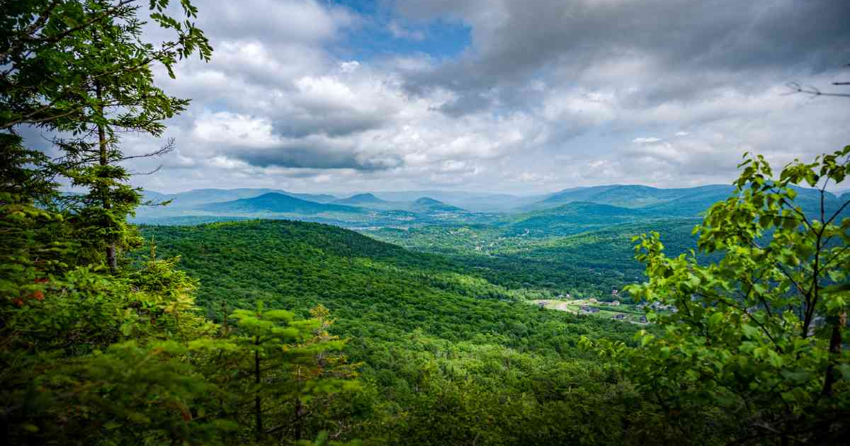 Beautiful view of the Quebec Forest where The Gifted Tree has planting projects to plant gift trees.